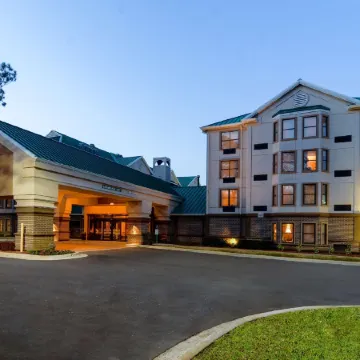 Hampton Inn & Suites Tampa-North Отели рядом с достопримечательностью «Парк аттракционов Busch Gardens»