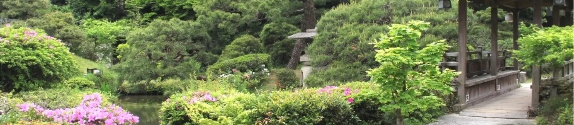 Hot Spring Hotels
