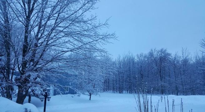 Mont Gabriel 리조트 레스토랑