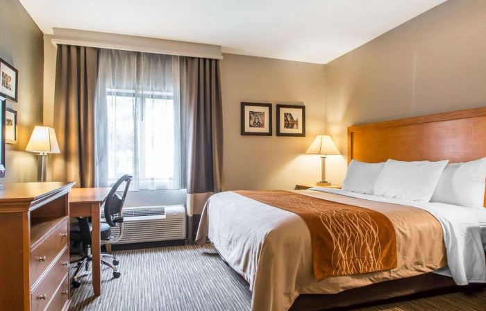 Comfort Inn South - Springfield