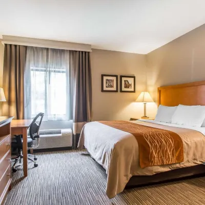 Comfort Inn South - Springfield Hotels near Kickapoo Corners