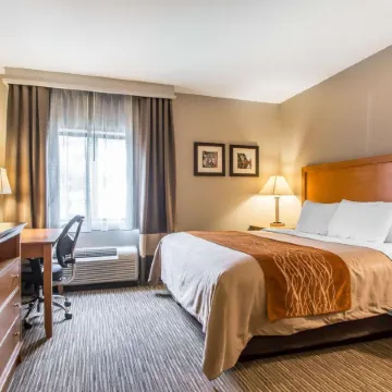 Comfort Inn South - Springfield