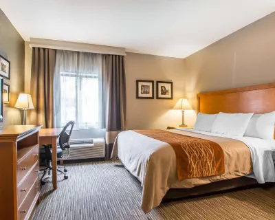Comfort Inn South - Springfield Các khách sạn ở Springfield
