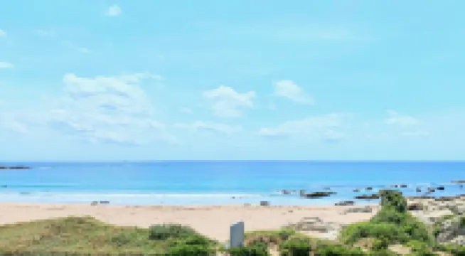 Sunny Coast Minamiboso Ocean Blue