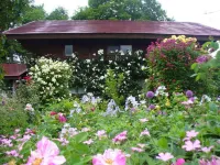 Pension Apple Hotels in 