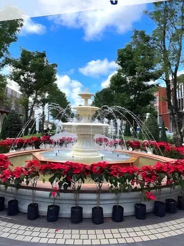 รูปภาพของแพนด้าโฮม @ นครศรีธรรมราช