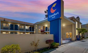 Comfort Inn Boardwalk