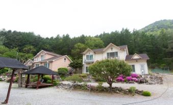 Hongcheon Peacock Farm Pension