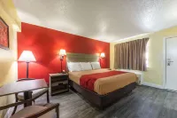 Econo Lodge San Marcos University Area Hotel di San Marcos
