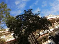 Vishal Villa