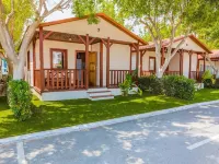 Alannia Guardamar Hotels in Guardamar Del Segura