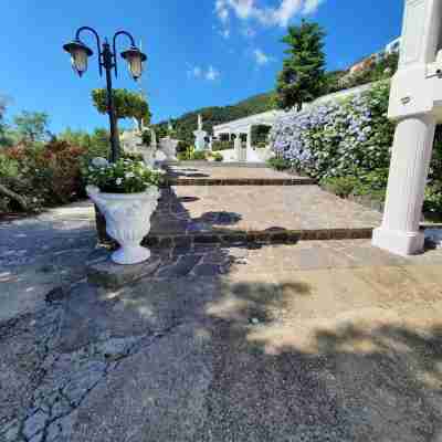 Villa Lesto Holiday Home - Ischia Apartment Hotel Exterior