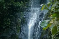 Bunihayu Forest Hotel a Sagalaherang