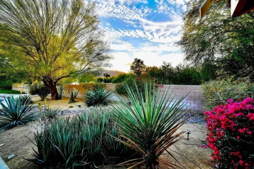 The Jungalow: Luxe Jungle Vibes Meet Modern Desert Living w/ Lagoon Style Pool