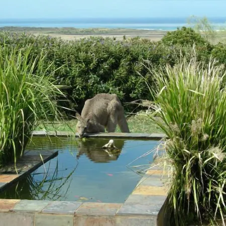 Tower Hill House Near Port Fairy, Beautiful Ocean Views, Nature Reserve, Pets OK