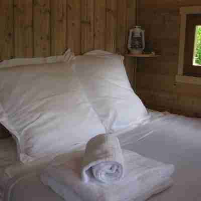 Gîte écologique bateau sur la Loire la Toue Reine Rooms