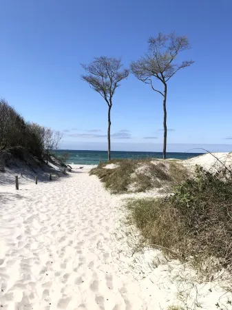 Apartment Seestern Prerow/parking lot, 2 bicycles, bed linen/towels incl.