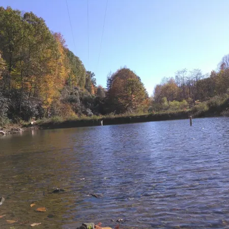Secluded Cozy Luxurious Cabin, Gourmet Kitchen On 100 Acres W/ Miles Of Trails