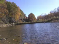 Secluded Cozy Luxurious Cabin, Gourmet Kitchen On 100 Acres W/ Miles Of Trails