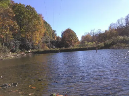 Secluded Cozy Luxurious Cabin, Gourmet Kitchen On 100 Acres W/ Miles Of Trails