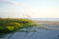 Oceanfront Condo! Patio to lawn, stay right at the beach! + 2 Bikes!