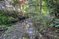 Private - Spacious- Creek Lined Cabin