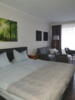 Apartment Goslar Hahnenklee in best location 200 meters to the lift and restaurants