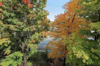 One Minute to Road America - Close to PGA Golfing Hotels in Rhine