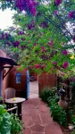 Cozy Casa Carmelita features a Brilliant Kiva Fireplace, Unique Patio & Hot Tub!