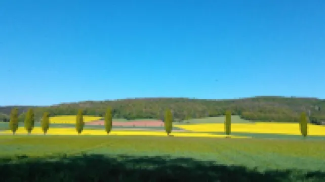 Tiny-bungalow, Barrierefrei, Klimaneutral