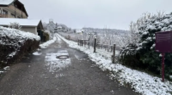 3 Room Apartment in 79576 Weil am Rhein - Ötlingen Near Basel up to 6 Persons