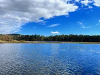 Sweet waterfront cottage, stunning sunsets, private, sleeps 4-8