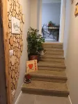 Lucia's Wood House