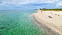 Venice Florida near beach and downtown