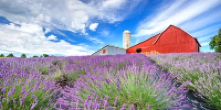 Modern, Huge, Hot Tub, Game Room! <1 Mile from Lk Michigan, Ada & Kid Friendly! 海斯酒店