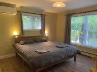 Swift River waterfront fully renovated family and dog friendly home in Tamworth