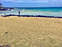 A/C Oceanfront View Of Poipu Beach. - Beach