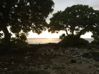 1 bdrm peakaboo ocean view walk to Turtle Beach, Alii Garden Mkt,Kona Village-1D