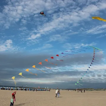 "Seelenstreichler" - 54 sqm with large sunny balcony and wood-burning fireplace - central