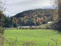 Meadow Sweet Cottage Hotels in Haines Township