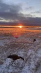 Outdoorsman Paradise- 1/2 mile from Lake Oahe Hotels in Hughes County