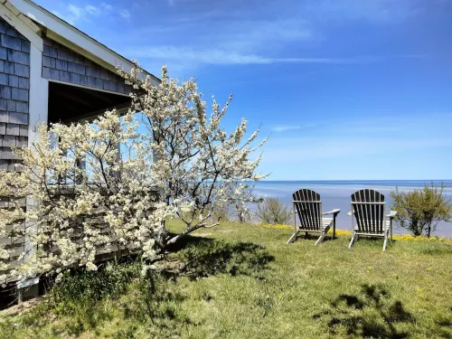 Beachfront cute cottage on Private  Beach. Best View on the Cape.  on high bluff