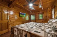 Central Location with Wooded Views and Hot tub