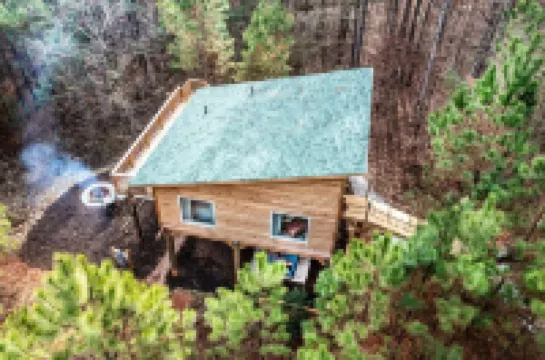 Romantic Escape in the Treetops w/ Outdoor Shower, Hot tub, & Firepit!