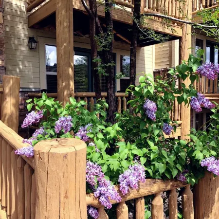 SUMMER ALERT - Steps to Hot Tub - Family friendly