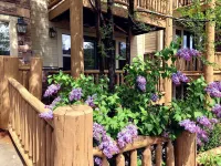 SUMMER ALERT - Steps to Hot Tub - Family friendly