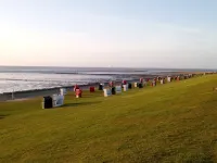 Vacation apartment near the beach with spacious roof terrace