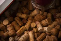 SUITE WINE - Relax & Design in the Heart of the Valdorcia