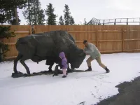 Sleeps 26! 7 Queen, 6 Full bunk-beds, 3 br and loft (rates based on occupancy)