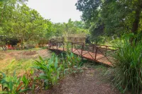 Kohka Wilderness Camp - Pet friendly